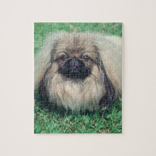 Rompecabezas del perro de Pekingese (Vertical)