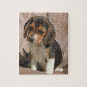 Rompecabezas del perro de perrito del beagle
