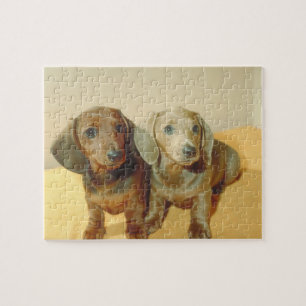 Rompecabezas del perro de perritos del Dachshund