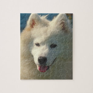 Rompecabezas del perro del samoyedo