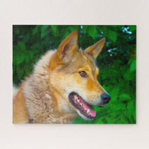 Rompecabezas del perro Laika.