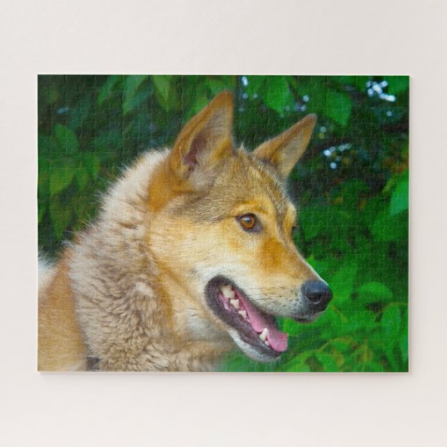 Rompecabezas del perro Laika. (Horizontal)