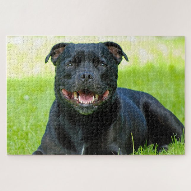 Rompecabezas del perro Staffordshire Bull Terrier (Horizontal)