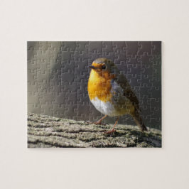 Rompecabezas del petirrojo