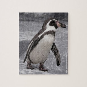Rompecabezas del Pingüino Caminante