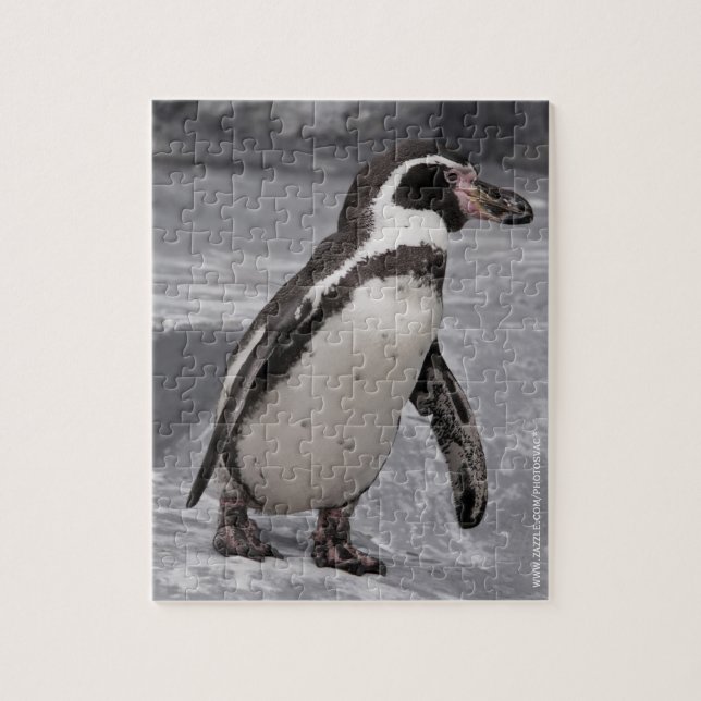 Rompecabezas del Pingüino Caminante (Vertical)