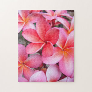 Rompecabezas del *Plumeria*