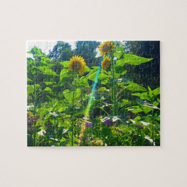 Rompecabezas del poder del girasol (Horizontal)