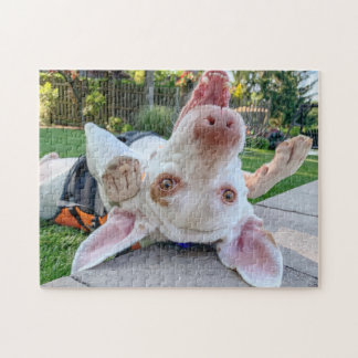 Rompecabezas del puntero