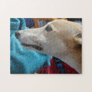 Rompecabezas del rompecabezas de Greyhound