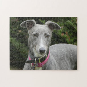 Rompecabezas del rompecabezas de Greyhound
