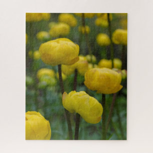Rompecabezas del rompecabezas de las flores de glo