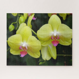 Rompecabezas del rompecabezas de las orquídeas ama