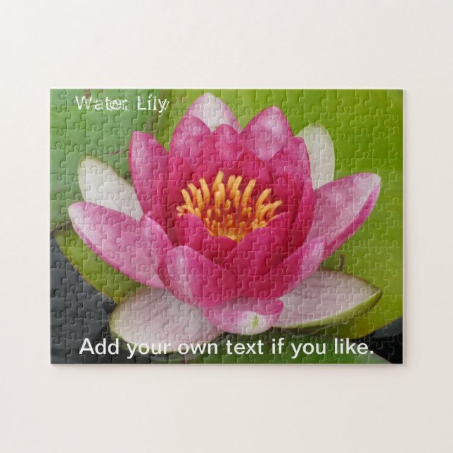 Rompecabezas del rompecabezas de Pink Waterlily (Horizontal)