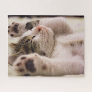 Rompecabezas del rompecabezas del gatito de Tabby