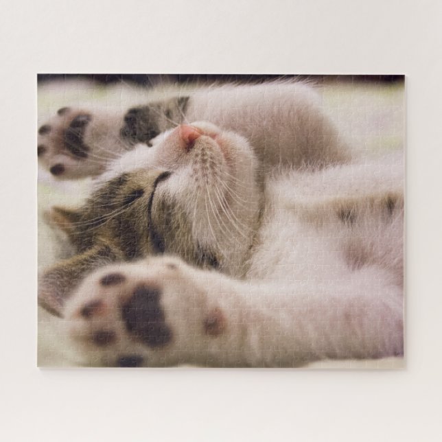 Rompecabezas del rompecabezas del gatito de Tabby  (Horizontal)