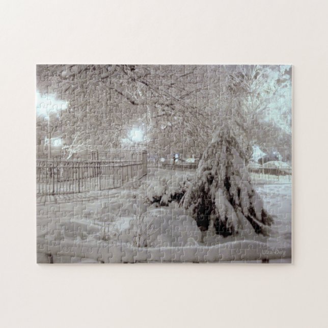 Rompecabezas del rompecabezas del invierno (Horizontal)