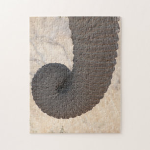 Rompecabezas del rompecabezas del maletero del ele