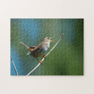 Rompecabezas del rompecabezas del Marsh Wren