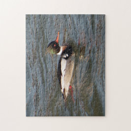 Rompecabezas del rompecabezas del Merganser Rojo