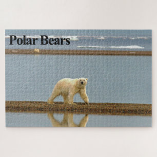 Rompecabezas del rompecabezas del oso polar