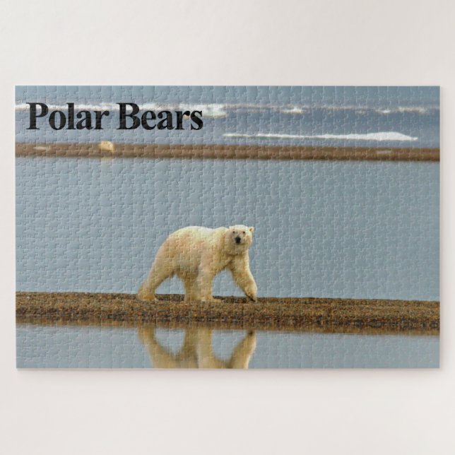 Rompecabezas del rompecabezas del oso polar (Horizontal)