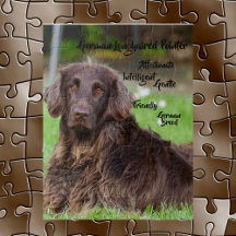 Rompecabezas del rompecabezas del puntero alemán d