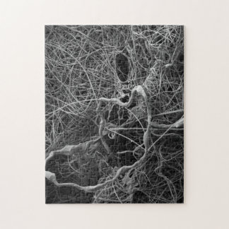 Rompecabezas del saco del huevo de la araña