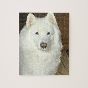 Rompecabezas del samoyedo