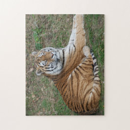 Rompecabezas del tigre