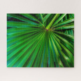 Rompecabezas del ventilador de Saw Palmetto