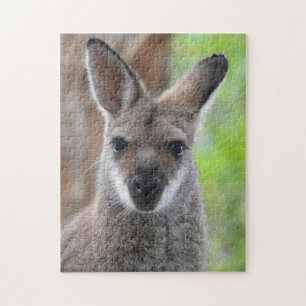 Rompecabezas del Wallaby