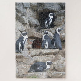 Rompecabezas del zoológico: Pingüinos Cutos