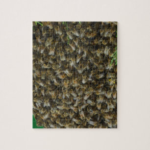 Rompecabezas desafiante de enjambre de abejas