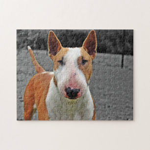 Rompecabezas - Diseño Bull terrier