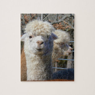 Rompecabezas divertido de la alpaca