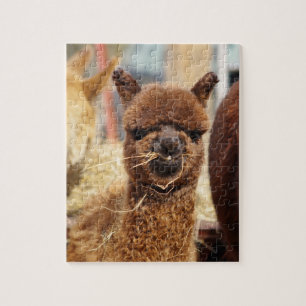 Rompecabezas divertido Isabel de la alpaca