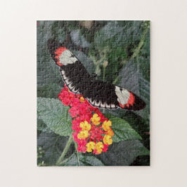 Rompecabezas dominante de la mariposa del piano