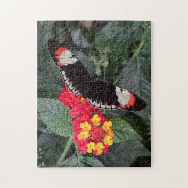 Rompecabezas dominante de la mariposa del piano (Vertical)