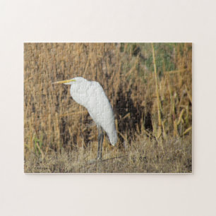Rompecabezas - Egret en hierba