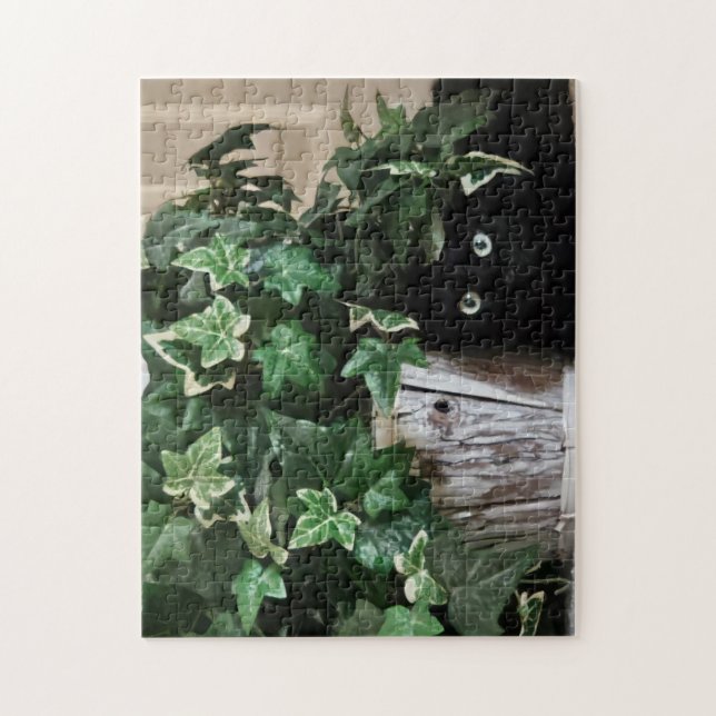 Rompecabezas en Modo Oculto, 28 cm x 35 cm, 252 pi (Vertical)