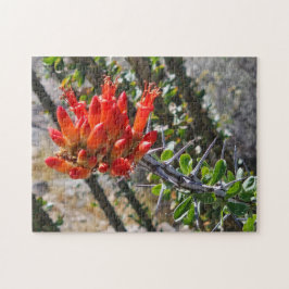 Rompecabezas Espinas y Flores de Fuego, 11" x 14",