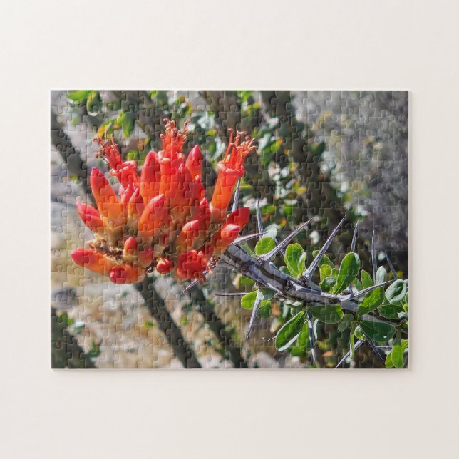 Rompecabezas Espinas y Flores de Fuego, 11" x 14", (Horizontal)