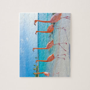 Rompecabezas flamencos