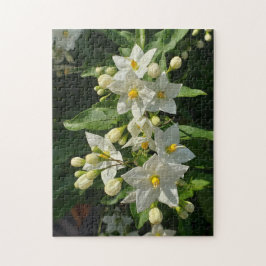 Rompecabezas Flor del Jardín Estallido de Estrella