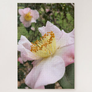 Rompecabezas floral de flor de camelia rosa