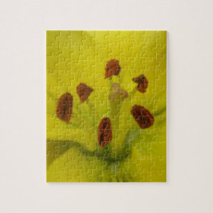 Rompecabezas floral de Lily amarilla