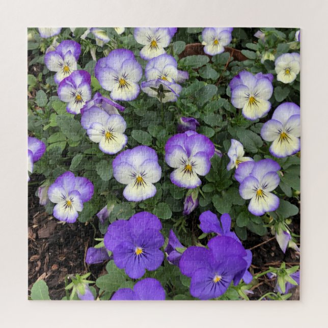 Rompecabezas Floral Flor de Pensamiento Morado Reg (Vertical)