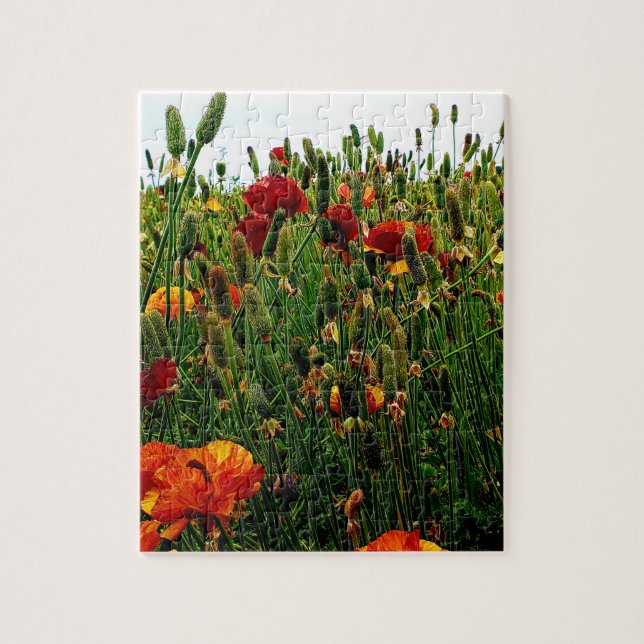 Rompecabezas floral: Los campos de flor, Carlsbad, (Vertical)