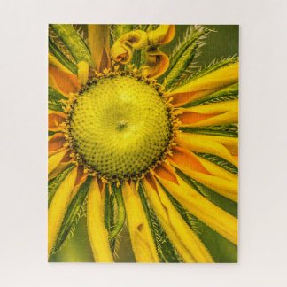 Rompecabezas florales